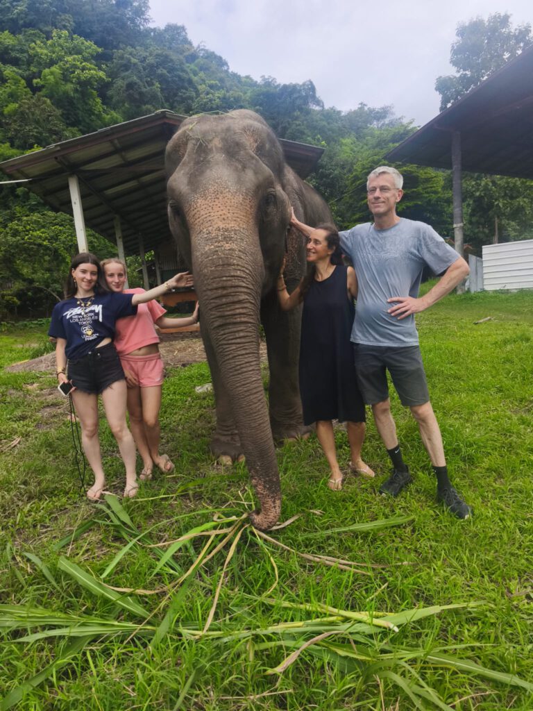 Elephant being fed during a responsible elephant experience in Thailand